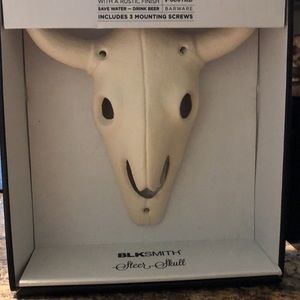 Cast iron skull bottle opener